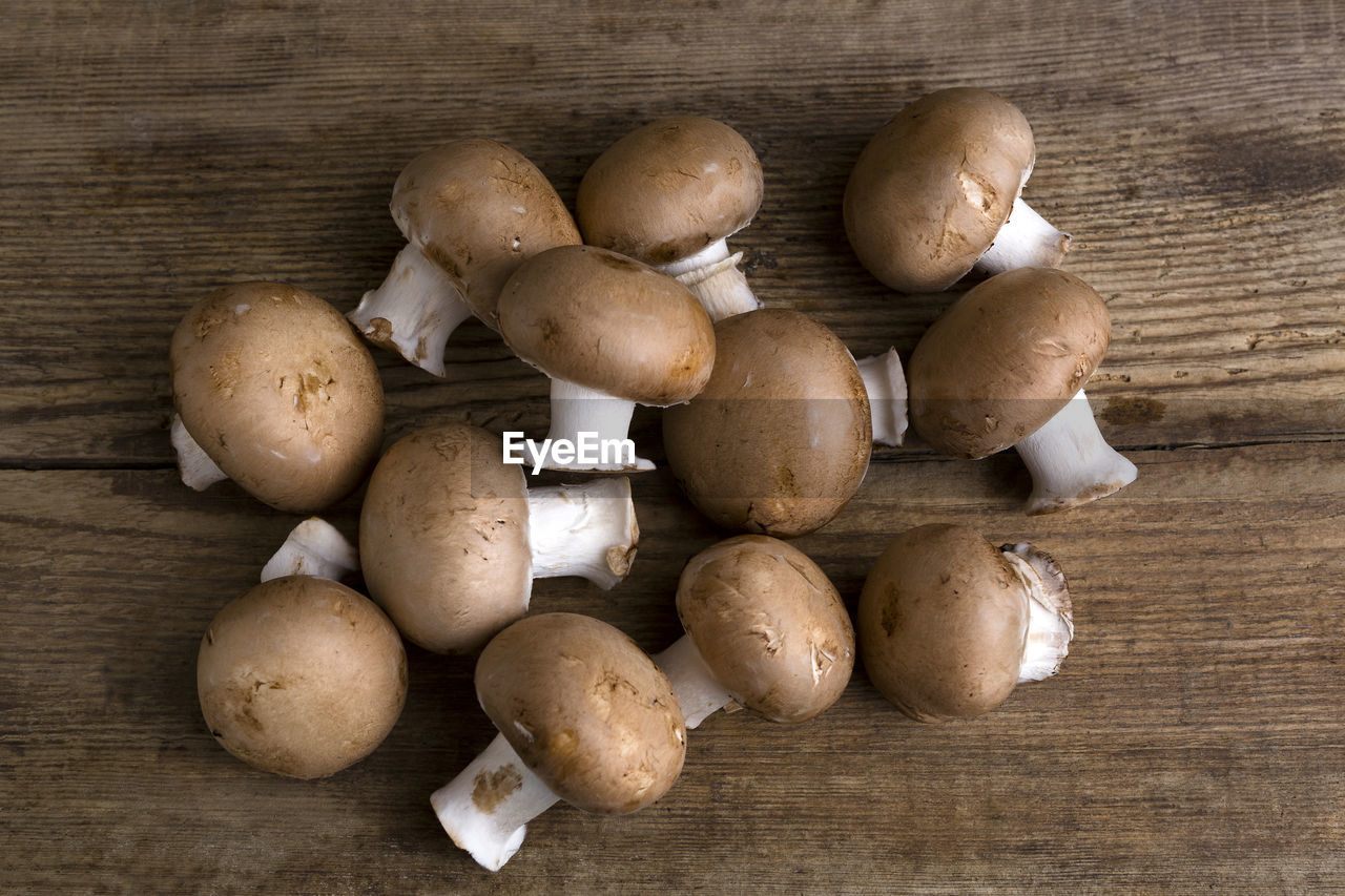 close-up of mushrooms