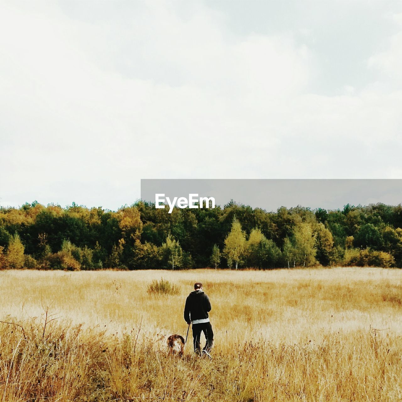 Rear view of man walking with dog on grassy field against sky