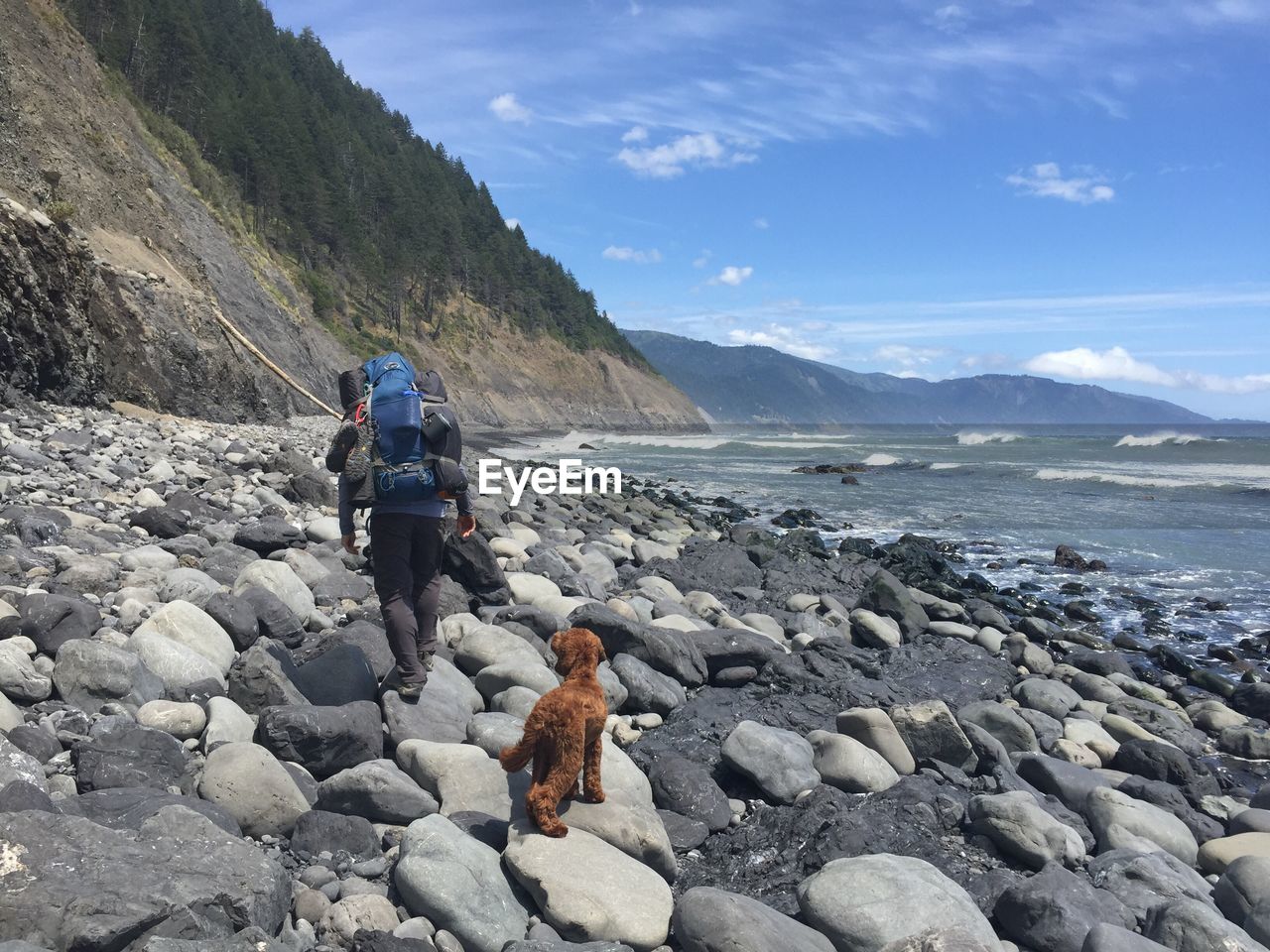 Rear view of hiker and dog walking on rocky shore