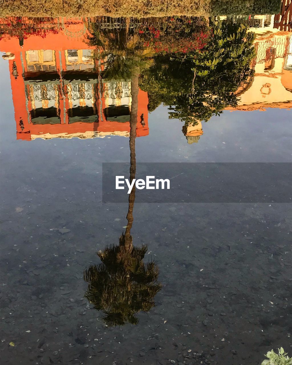 Reflection of tree in puddle against sky