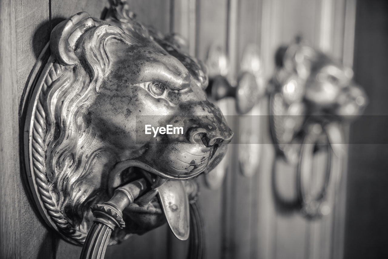 Close-up of lion shaped doorknocker on door