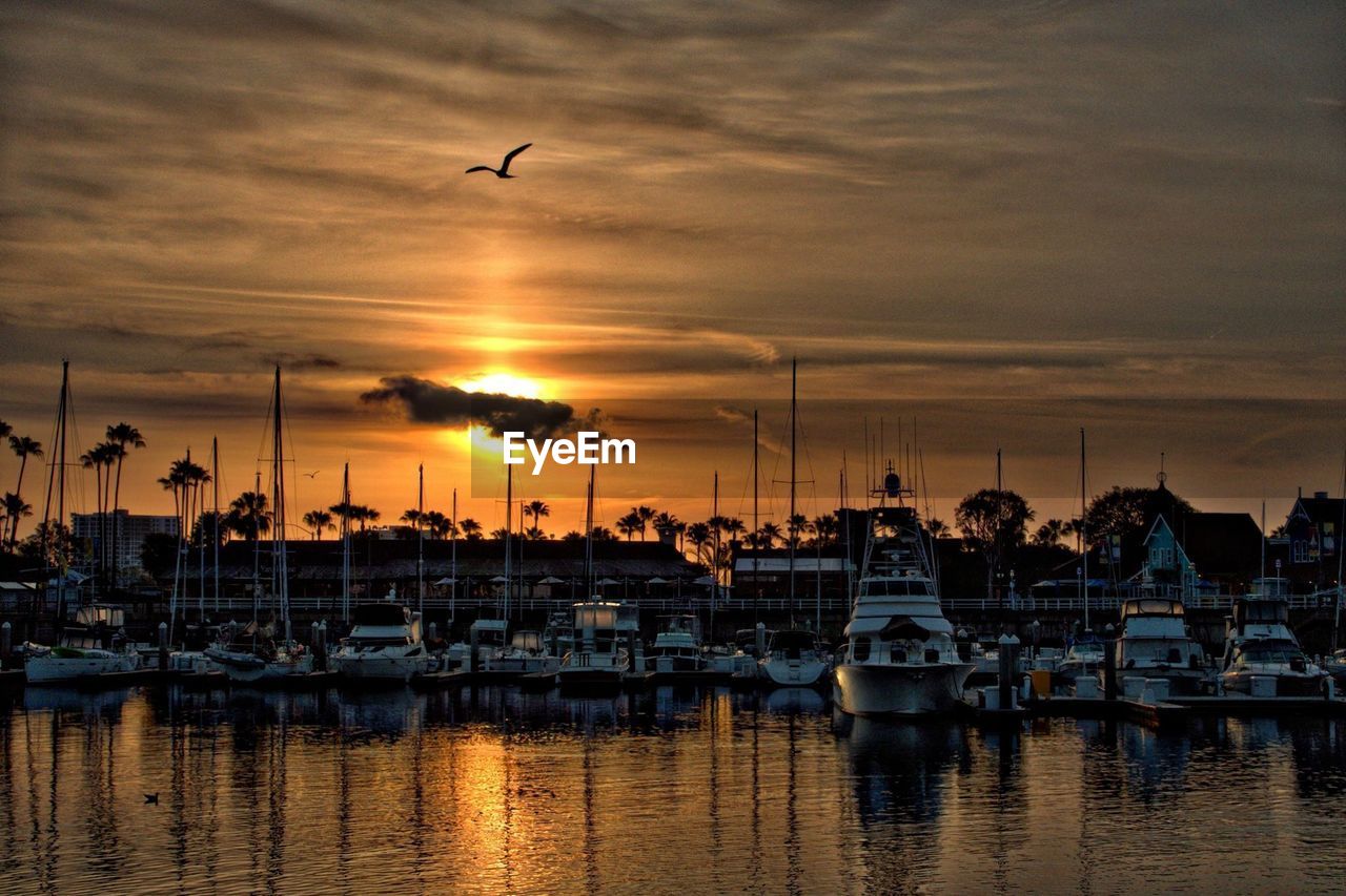 Boats moored at harbor during sunset