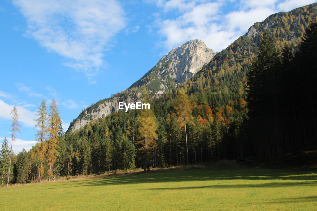 Trees on countryside landscape against mountain range