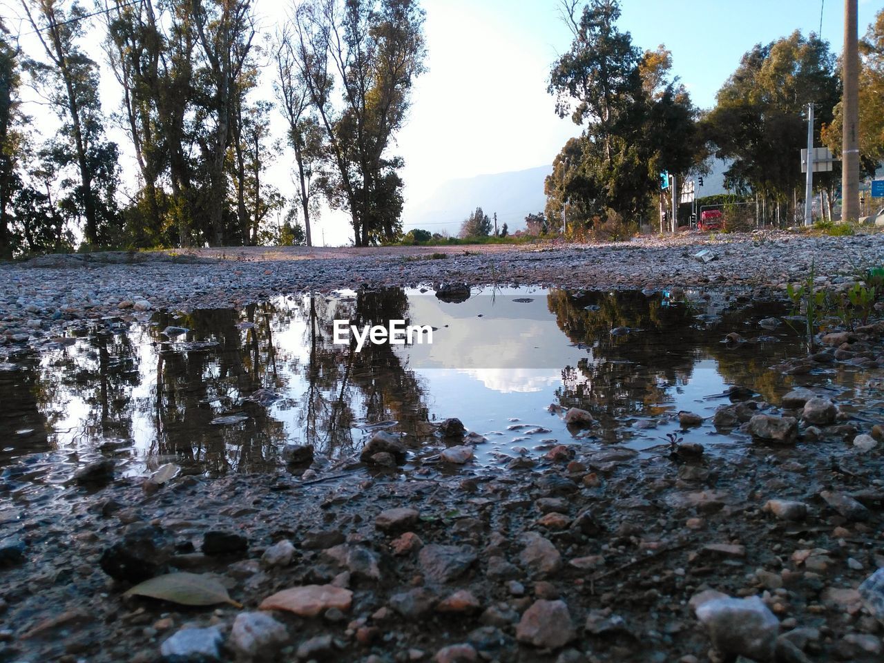 REFLECTION OF TREES IN PUDDLE AGAINST SKY