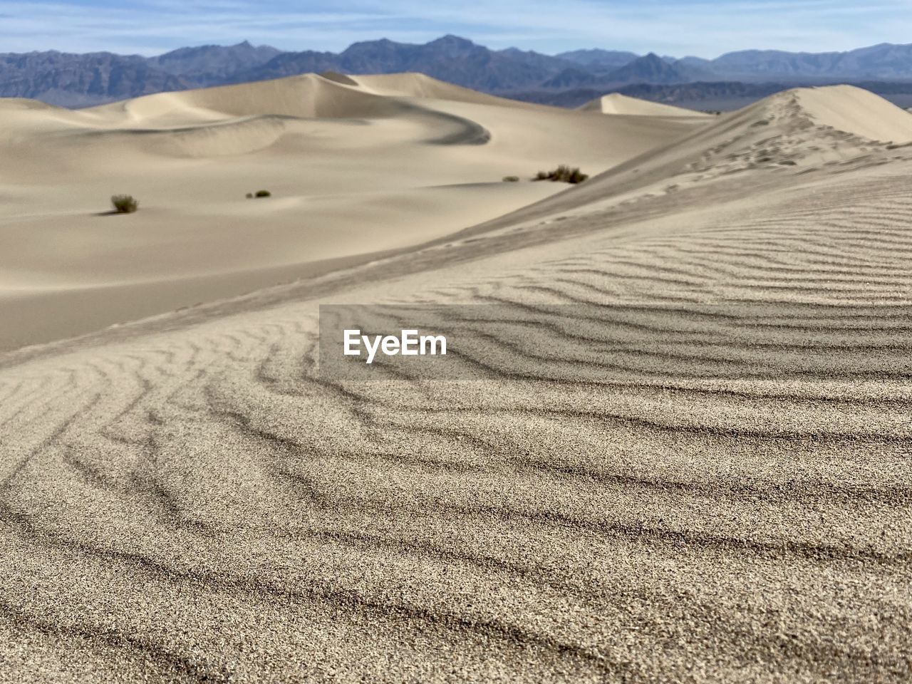 SCENIC VIEW OF SAND DUNE IN DESERT