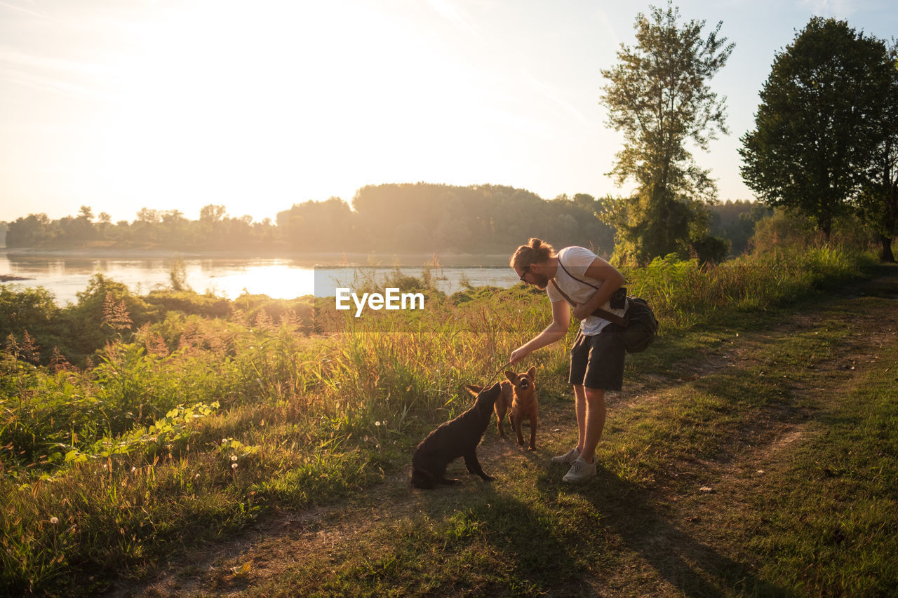 Man playing with dogs at lakeshore against sky during sunset