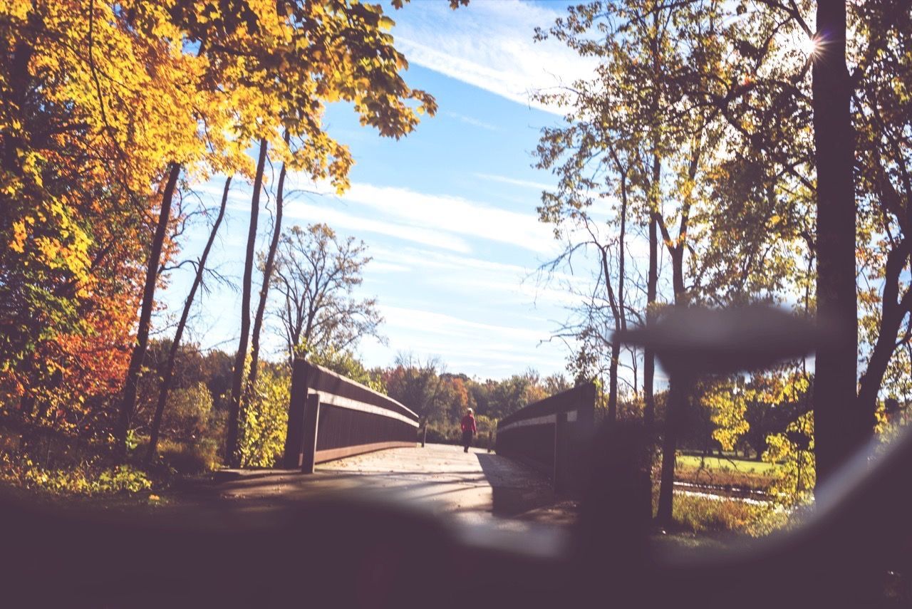 Footbridge and autumnal trees