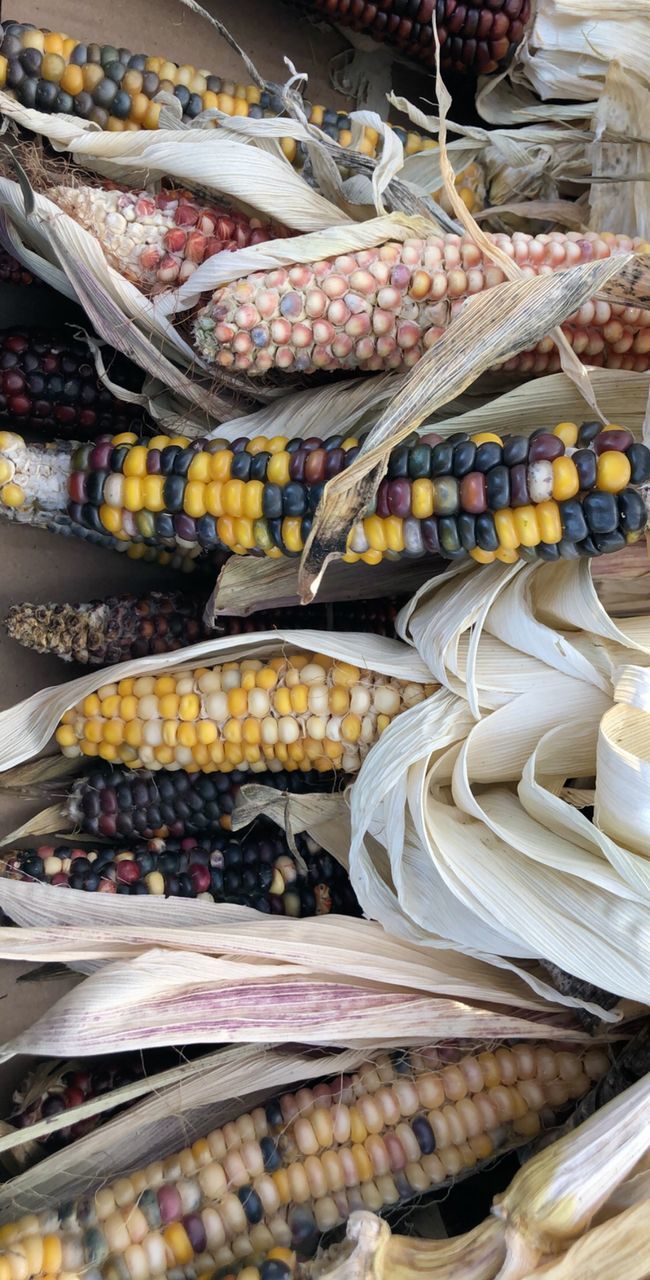 Close-up of food for sale at market stall