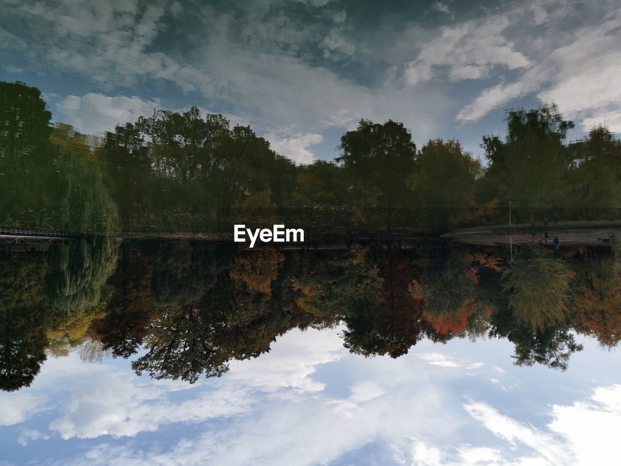 reflection, water, nature, cloud, sky, tree, lake, plant, morning, beauty in nature, tranquility, scenics - nature, environment, landscape, no people, sunlight, outdoors, tranquil scene, reflection lake, standing water, non-urban scene, day, reservoir