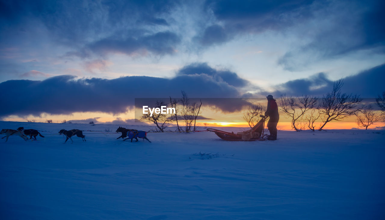 SNOW ON FIELD AGAINST SKY DURING SUNSET