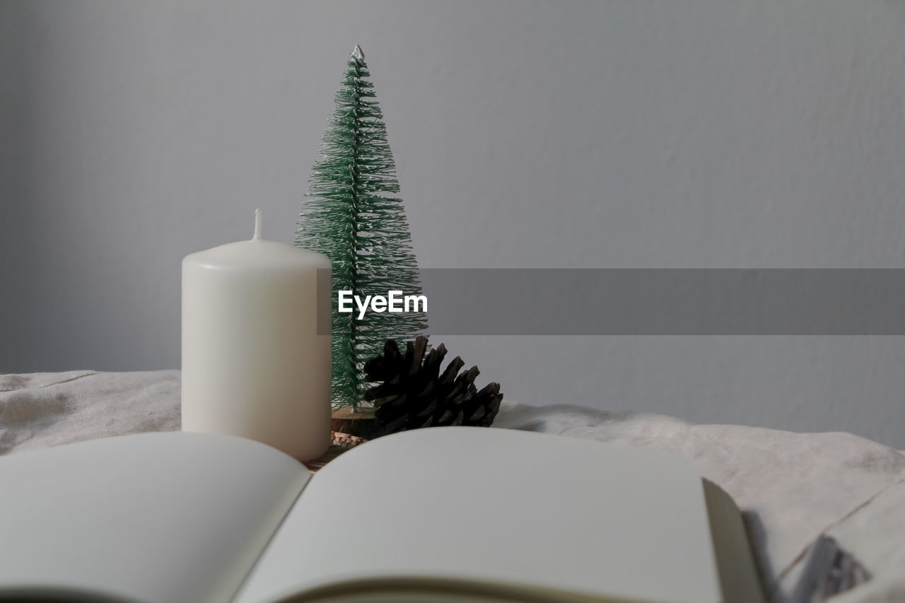 Decorative candles, a miniature christmas tree and pine cones on the table.