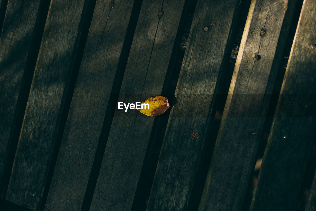 High angle view of dry leaf on wooden plank