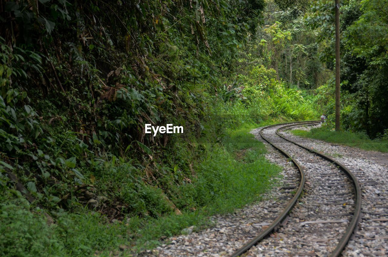 View of winding railroad track by trees