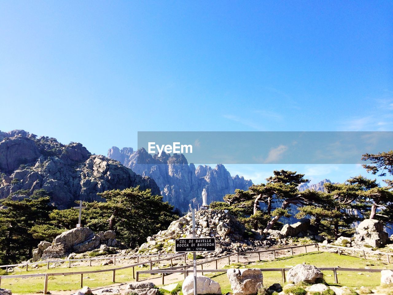 VIEW OF TREES AGAINST MOUNTAIN