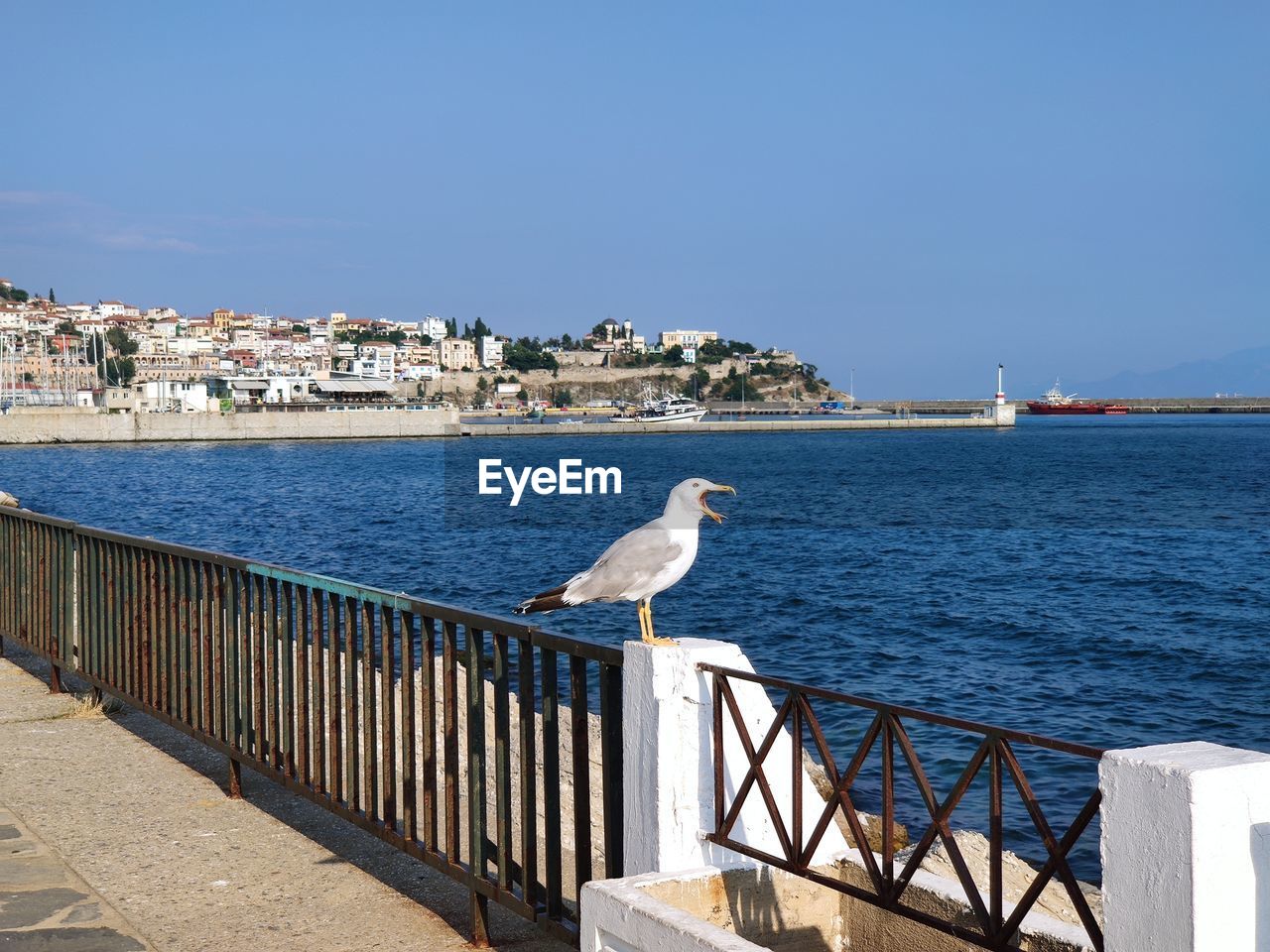 SEAGULLS PERCHING ON RAILING AGAINST SEA
