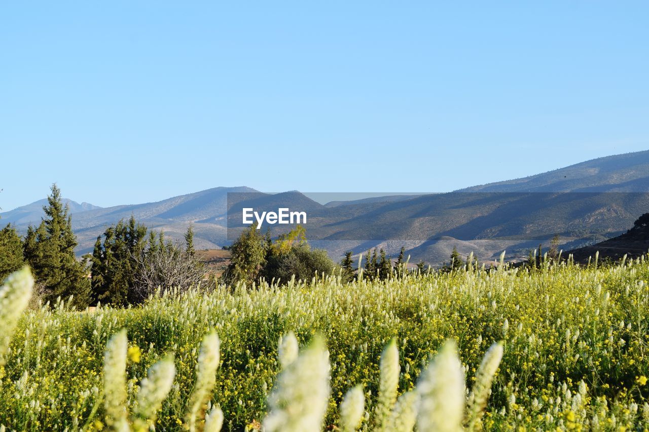 Beni yaznassen mountains