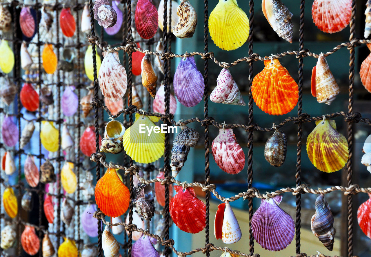 Full frame shot of seashells hanging from rope
