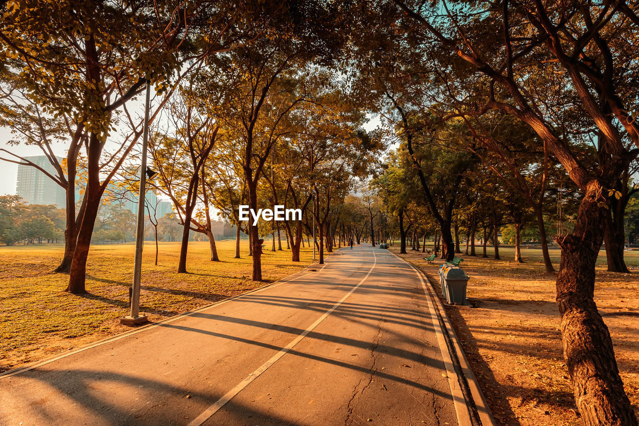 Footpath amidst trees in park during autumn