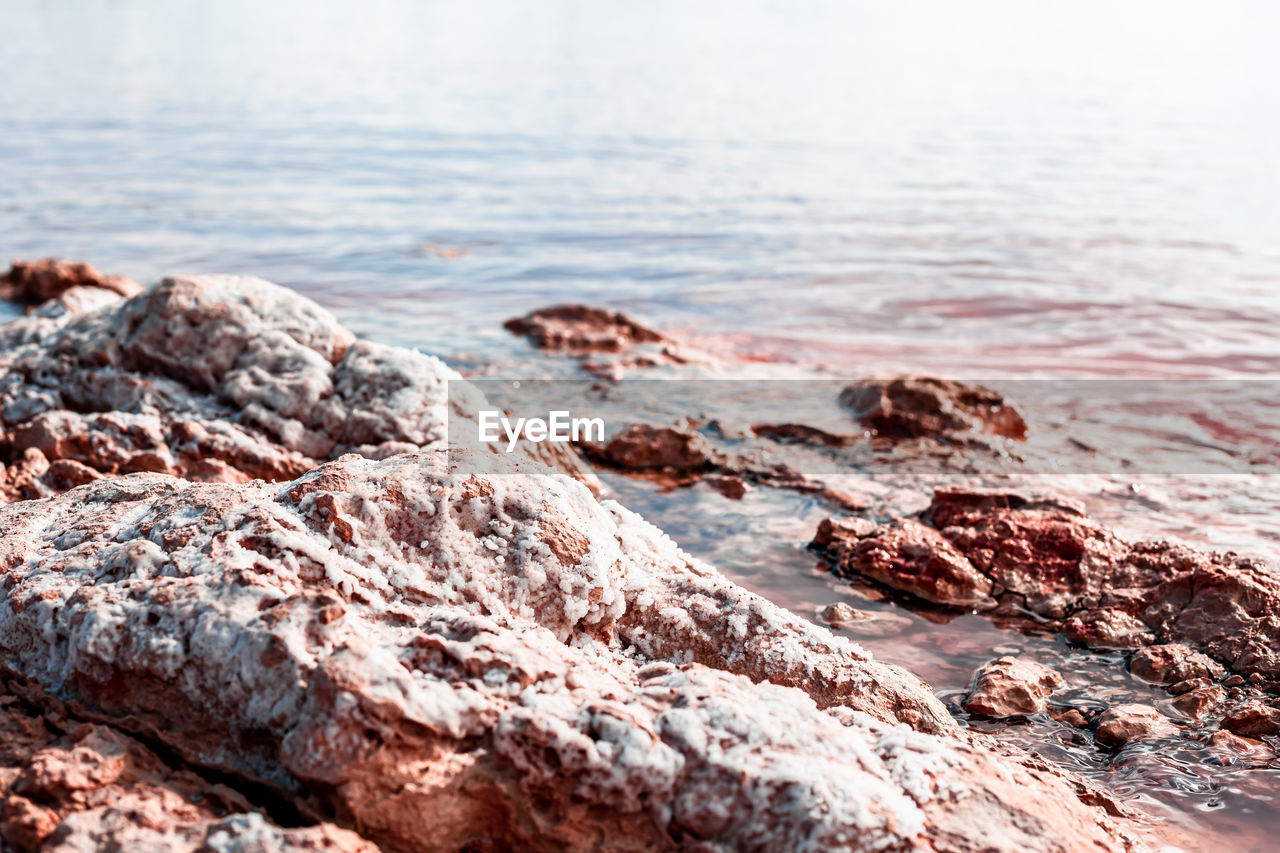 CLOSE-UP OF ROCKS ON SHORE AT BEACH