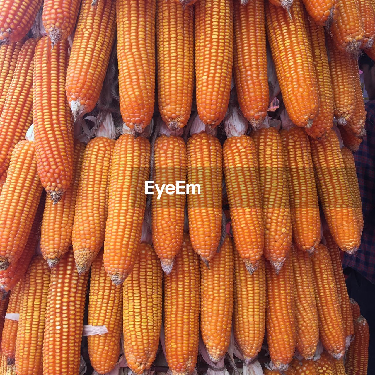 Full frame shot of stacked corns for sale