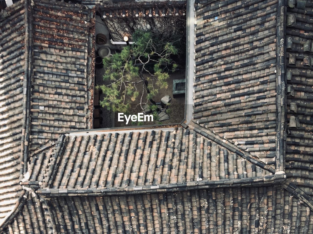 Window of old building