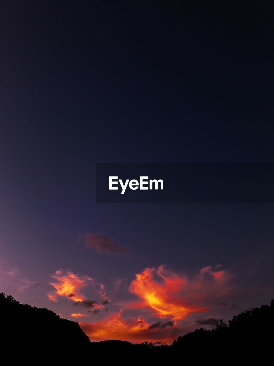 LOW ANGLE VIEW OF SILHOUETTE TREES AGAINST SKY DURING SUNSET