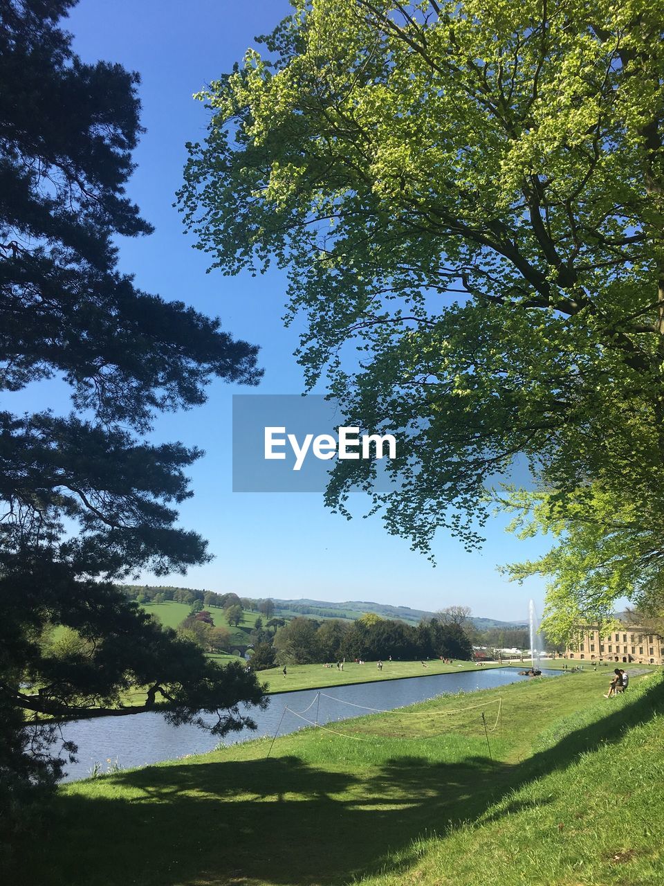 SCENIC VIEW OF LAKE BY TREES AGAINST SKY