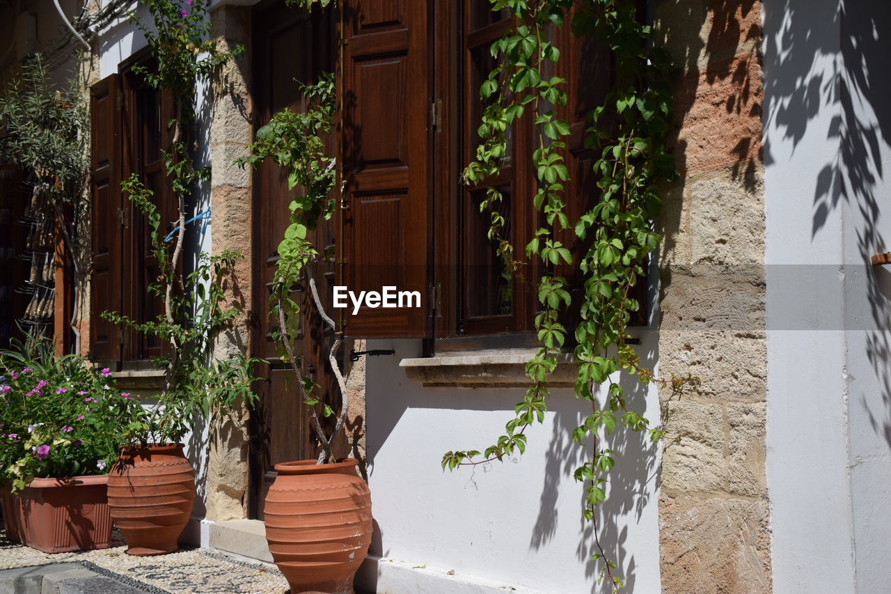 POTTED PLANTS ON STEPS BY HOUSE