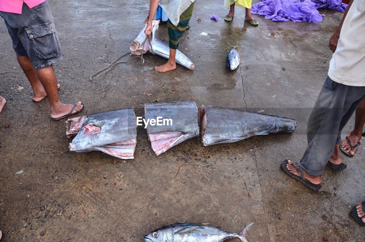 Low section of people standing on a cutting tuna on fish market 