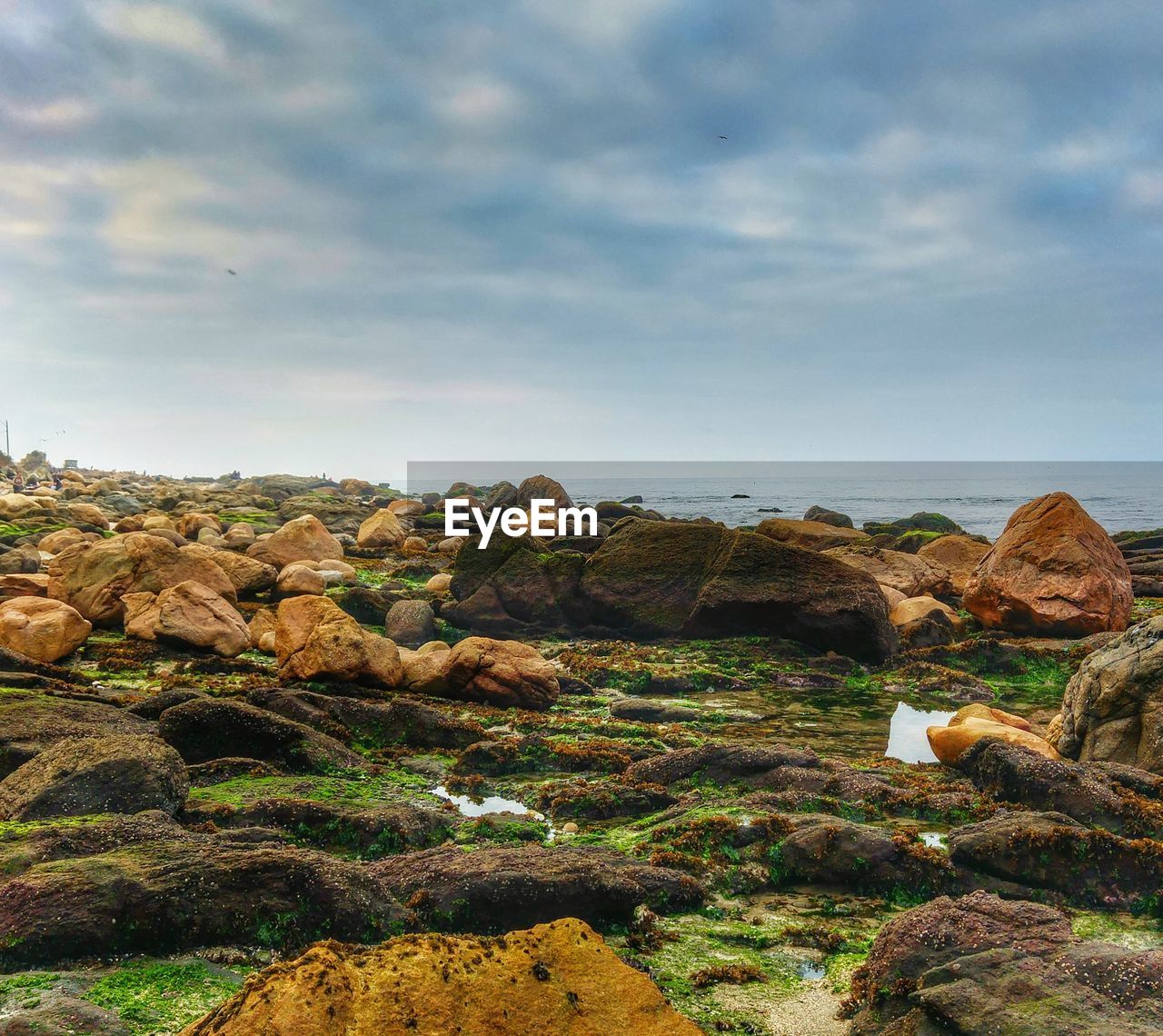 Scenic view of landscape against cloudy sky