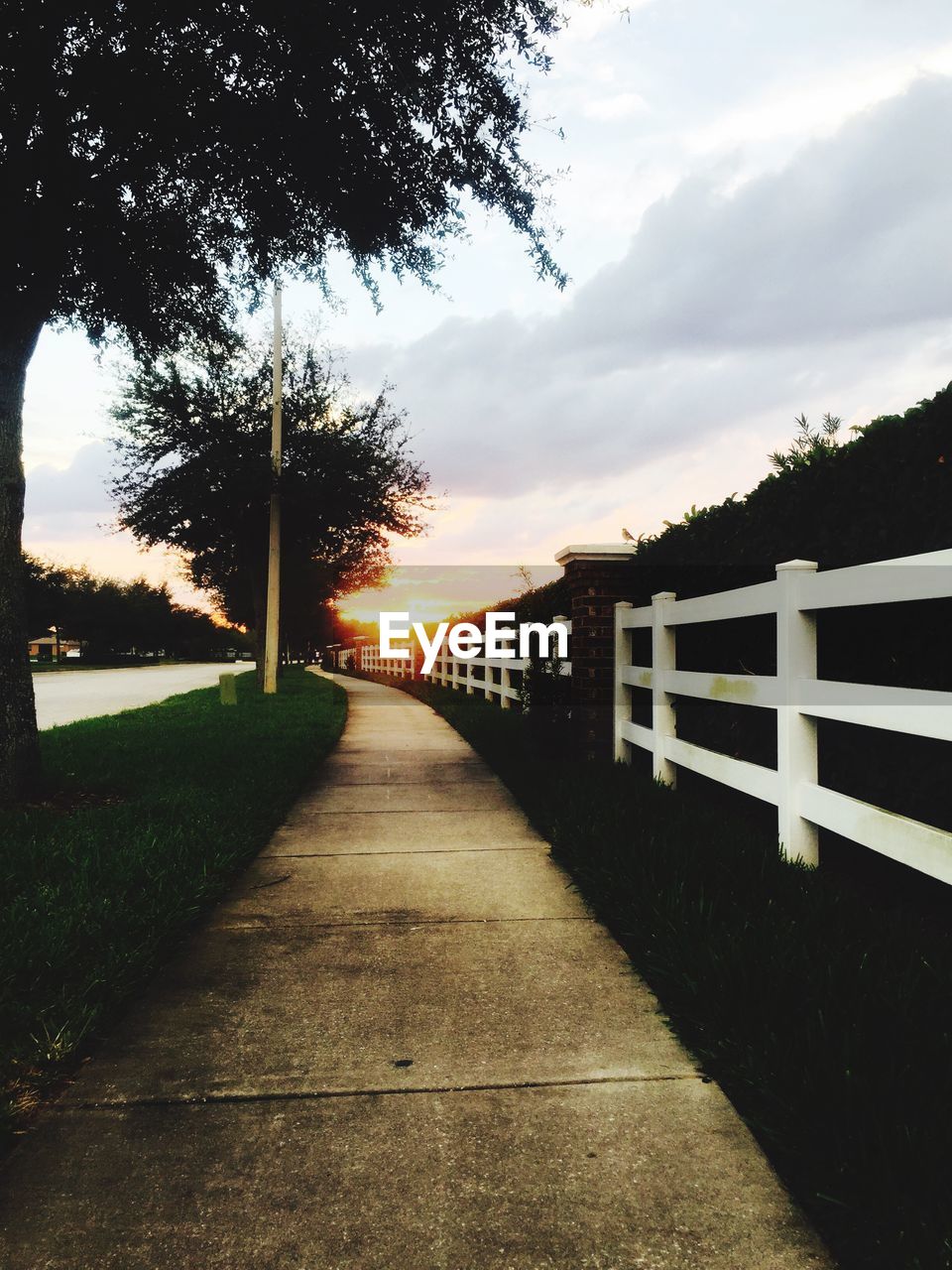 Footpath by fence and trees against sky during sunset