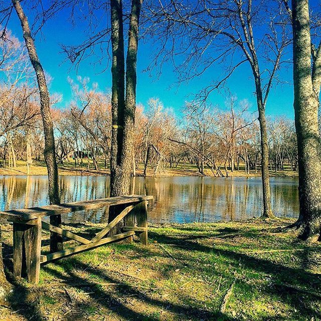 BARE TREES BY LAKE AGAINST SKY