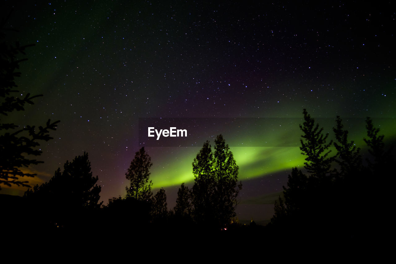 Low angle view of silhouette trees against sky at night