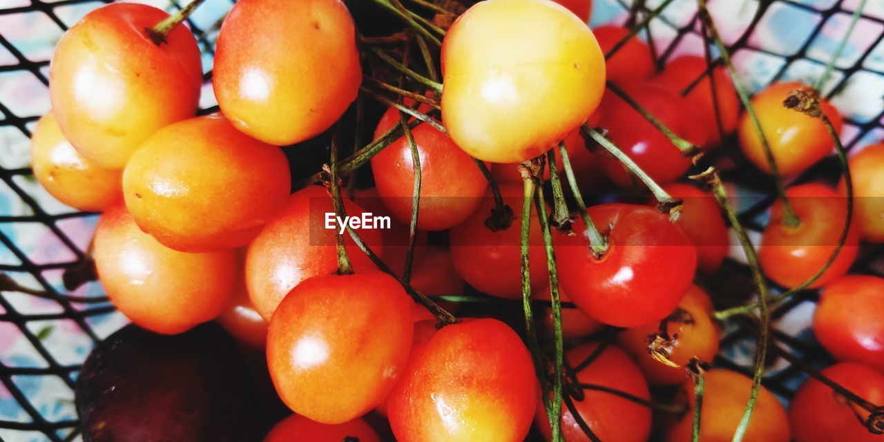 CLOSE-UP OF TOMATOES AND FRUITS