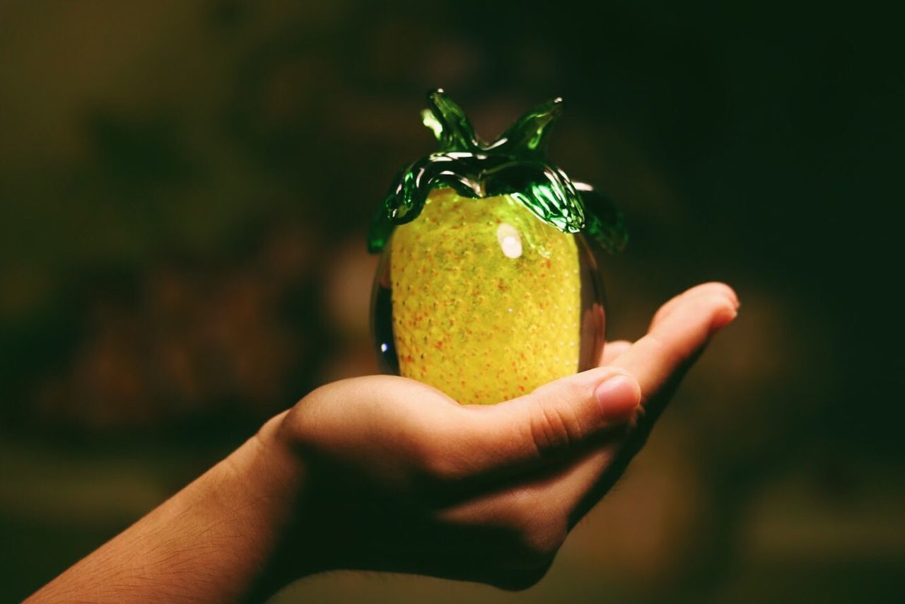 CLOSE-UP OF HAND HOLDING LEMON