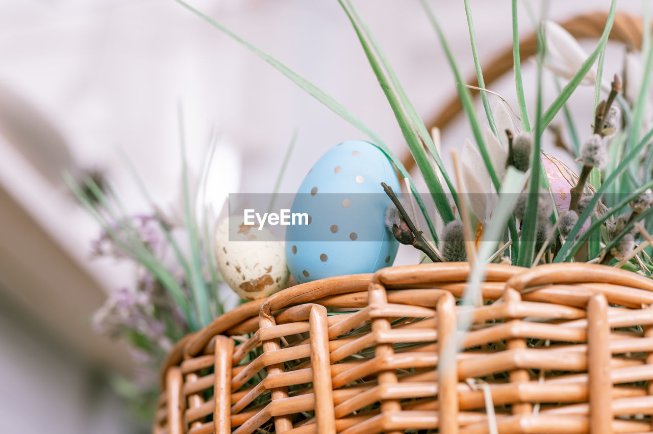 basket, egg, easter, plant, easter egg, tradition, wicker, celebration, nature, food, container, springtime, flower, no people, holiday, flowering plant, food and drink, decoration, close-up, selective focus, event, freshness, outdoors, grass, beauty in nature, growth, multi colored, focus on foreground