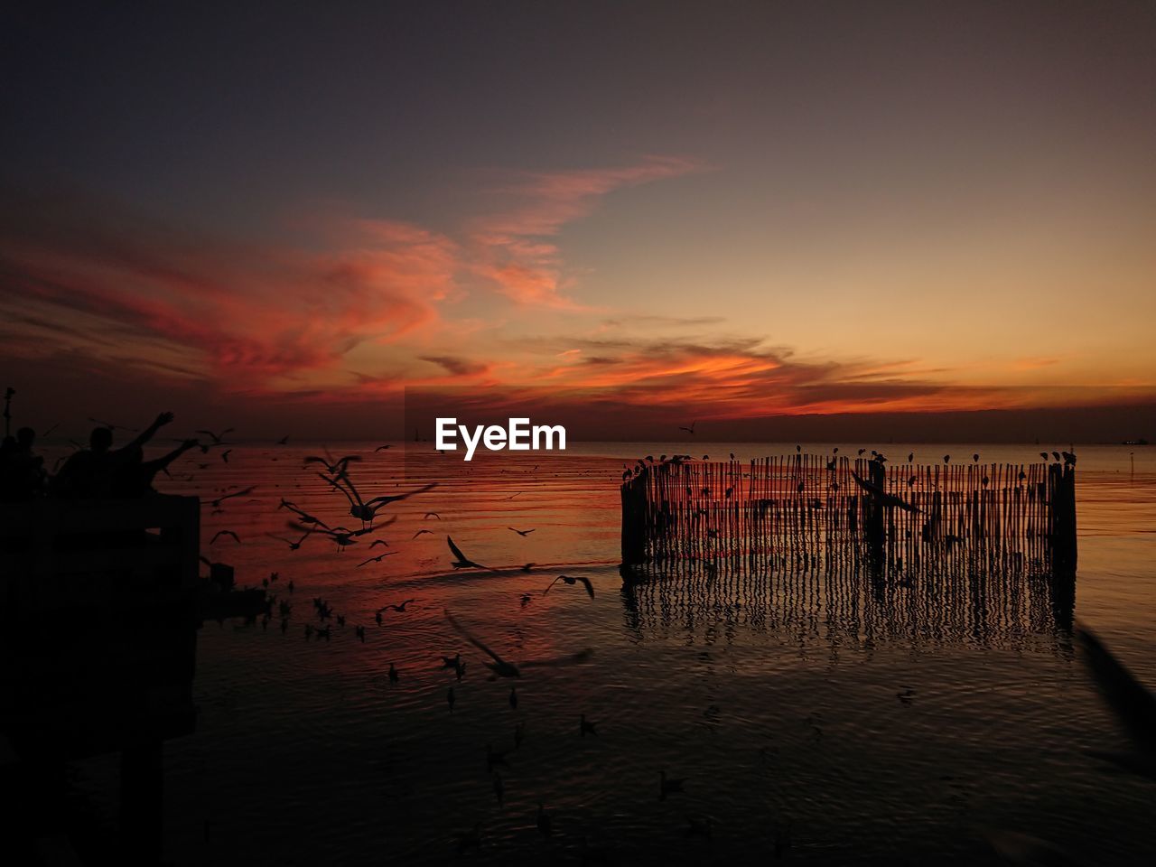 SILHOUETTE WOODEN POSTS IN SEA AT SUNSET