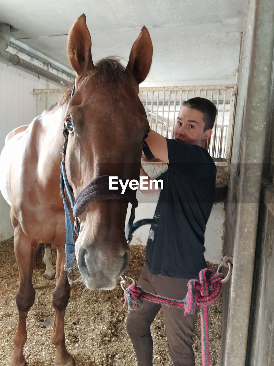 FULL LENGTH OF BOY STANDING IN HORSE