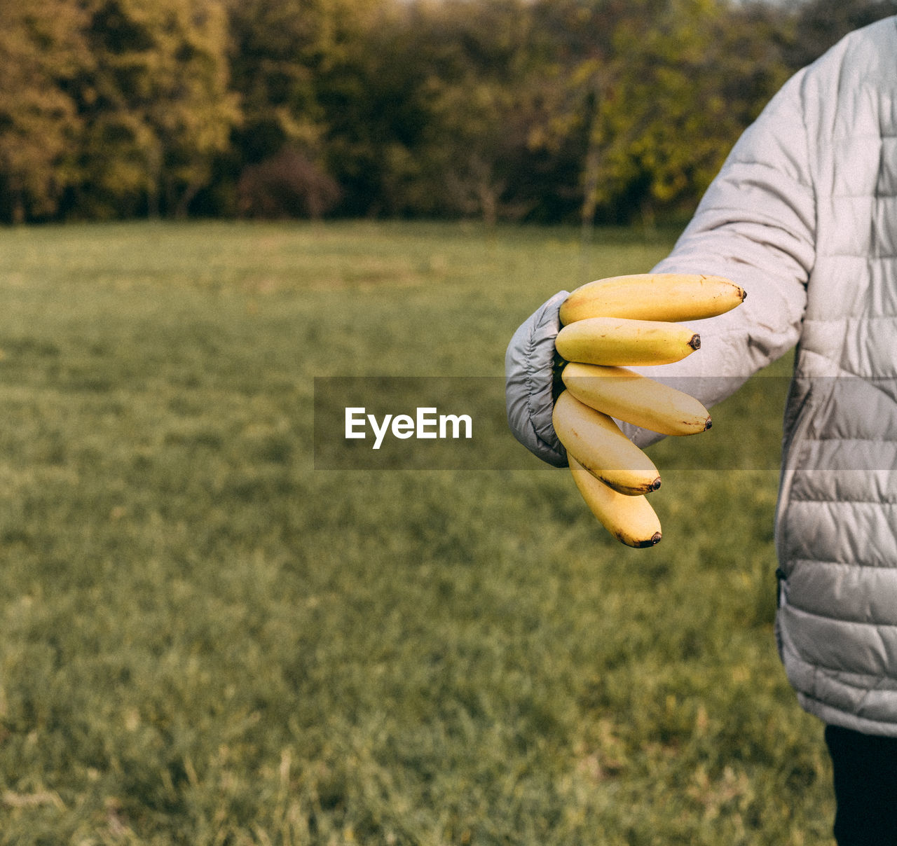 Midsection of man holding banana while standing on field