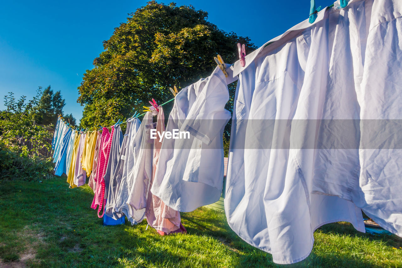 CLOTHES DRYING ON FIELD AGAINST TREES