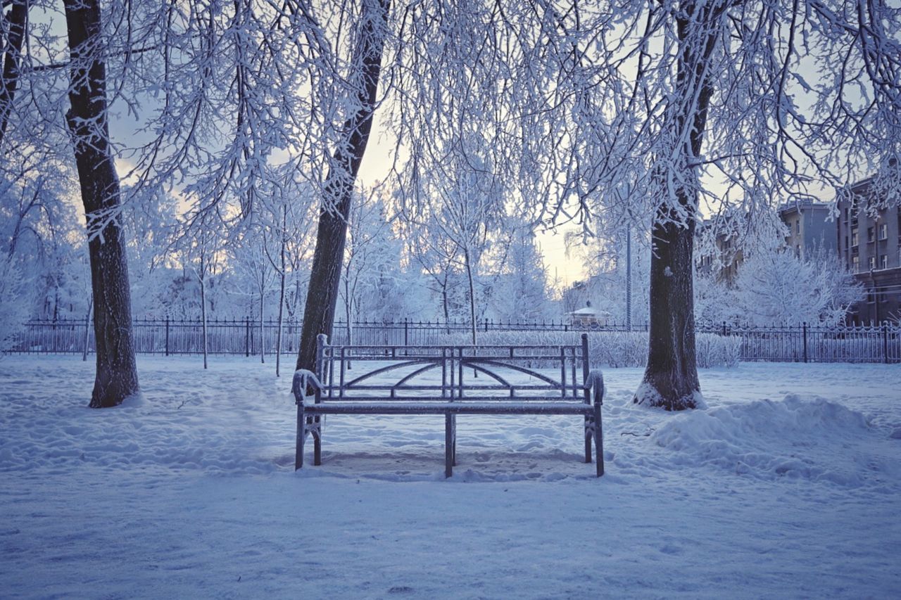 Empty bench on snow covered field in park