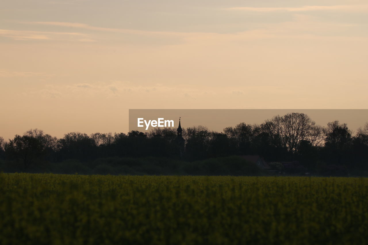 SCENIC VIEW OF AGRICULTURAL FIELD AGAINST SKY AT SUNSET