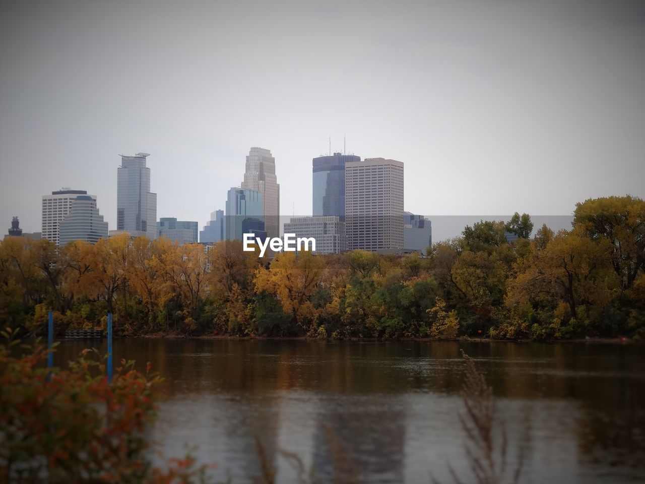 SCENIC VIEW OF TREES AND CITYSCAPE AGAINST SKY