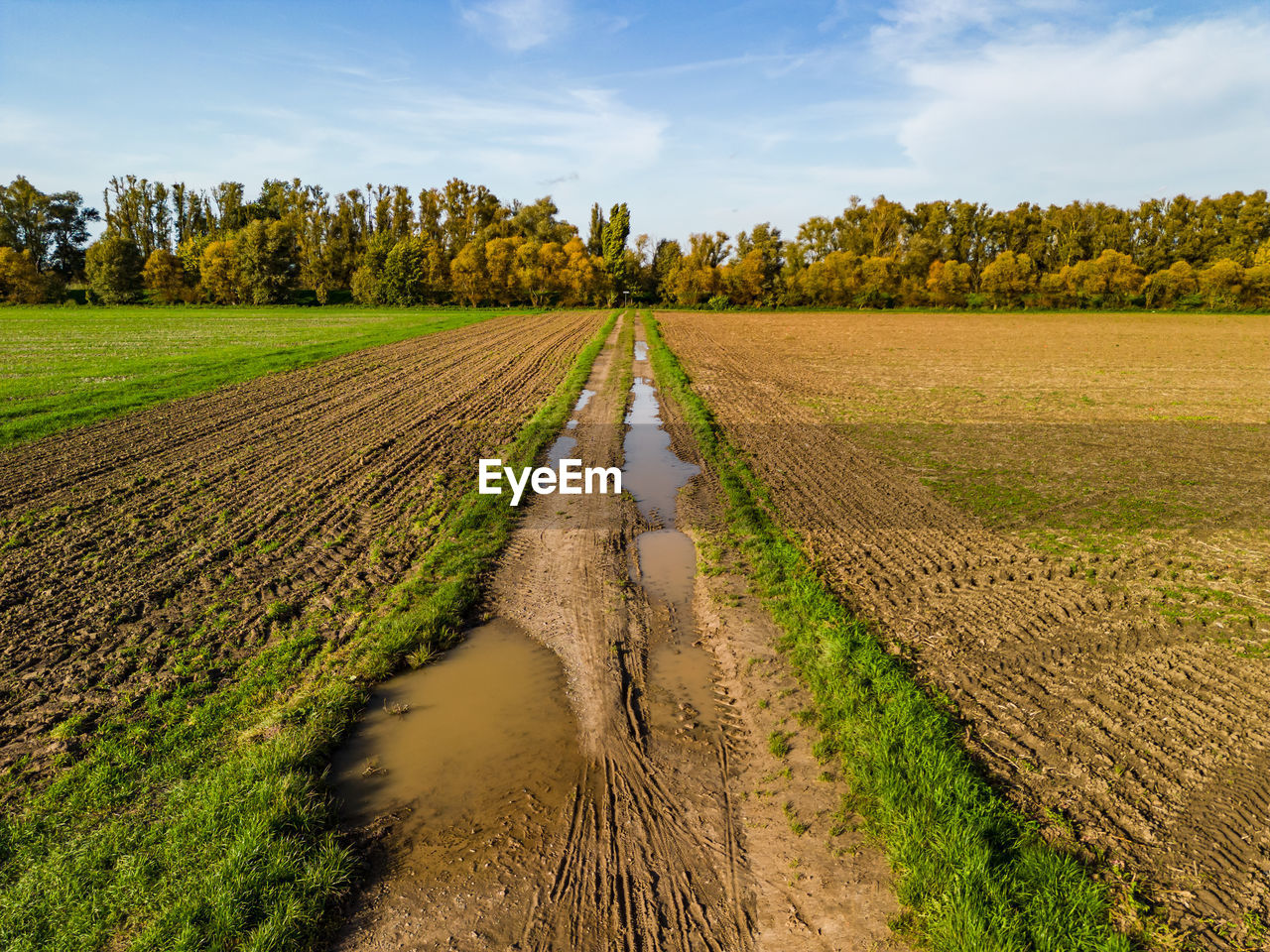 Aerial view of a dirt dirt road with mud between fields and trees after the rain