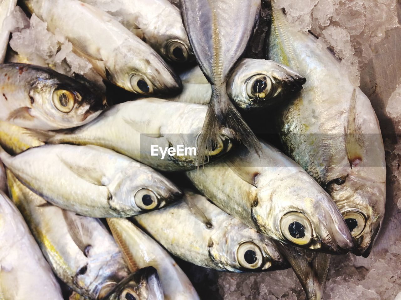 CLOSE-UP OF FISH FOR SALE AT MARKET