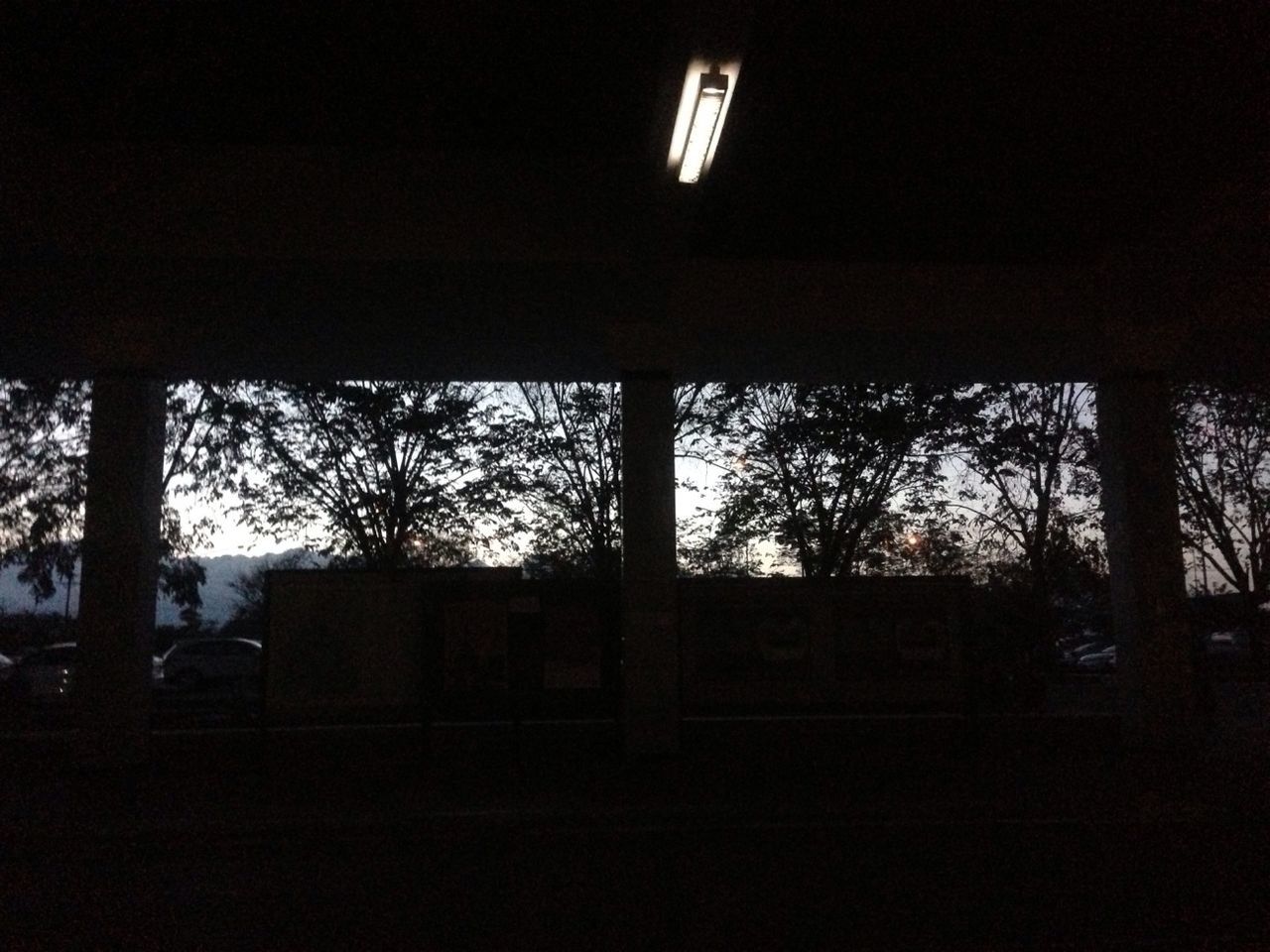 Trees seen through window of illuminated room during sunset