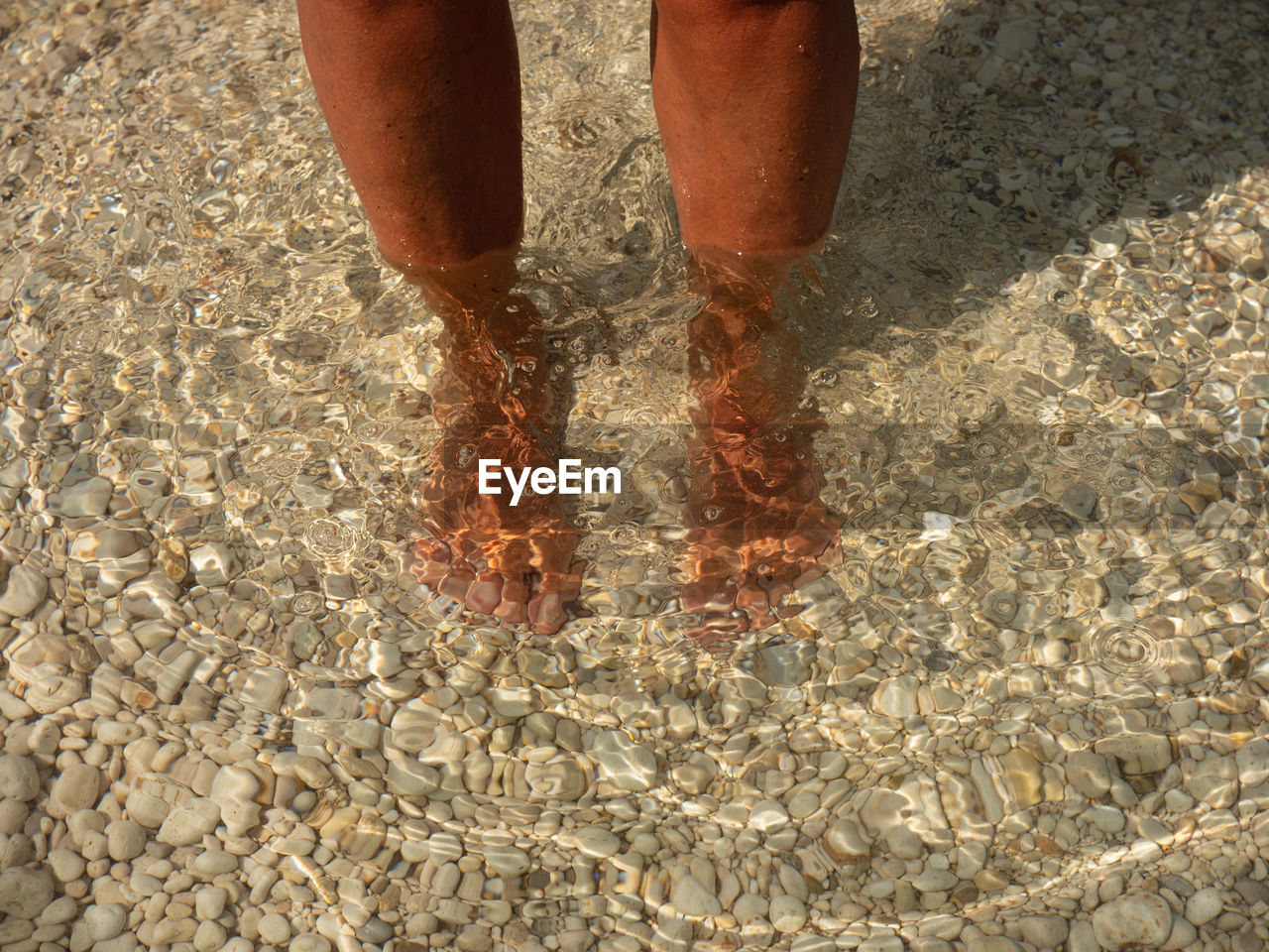 Low section of person standing on pebbles at beach