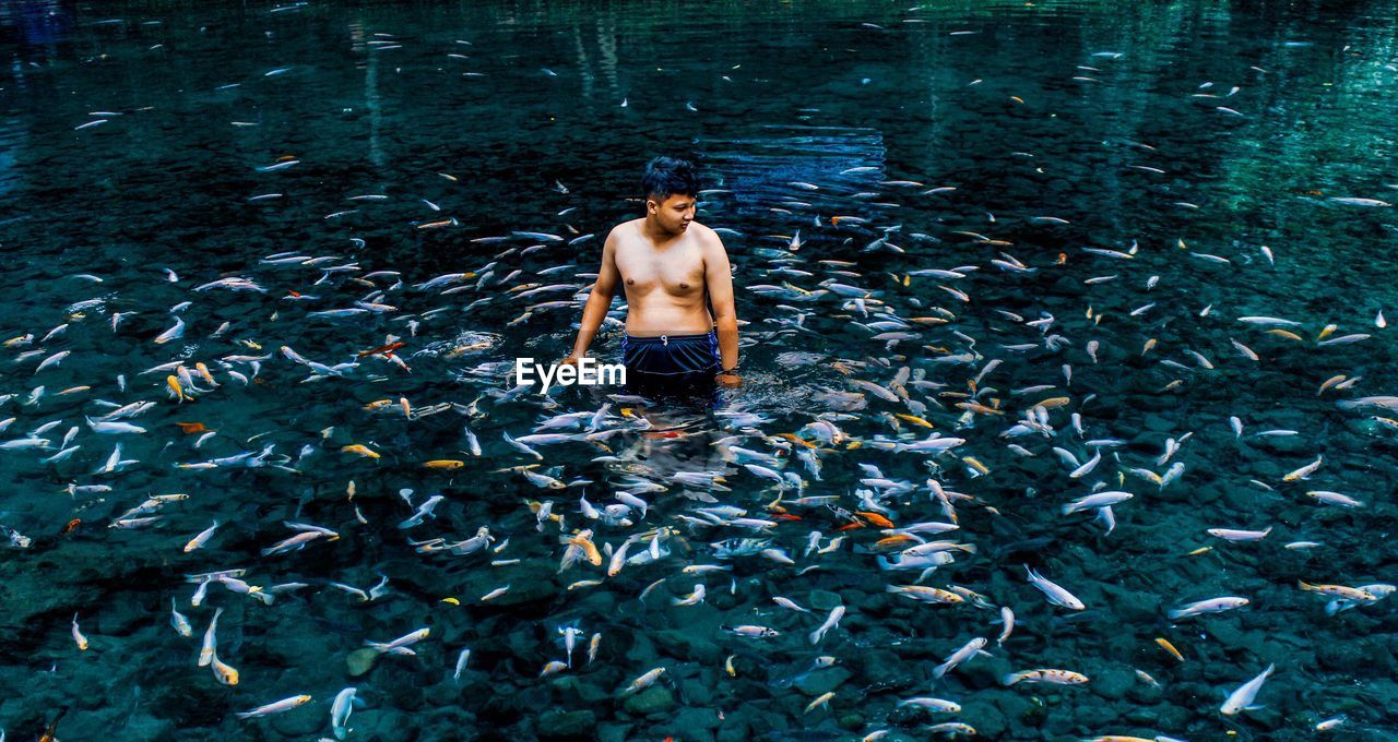 Shirtless young man standing amidst fish in lake