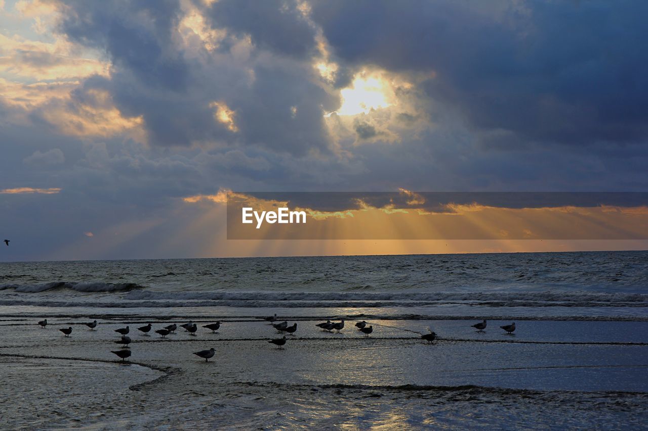 Scenic view of sea against sky at sunset