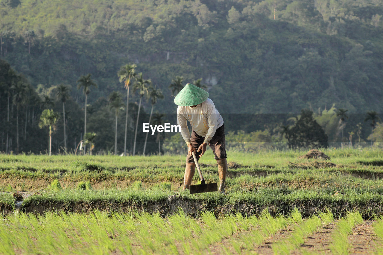 Farmer working on farm after planting